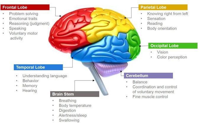 Lesión cerebral ferroviaria