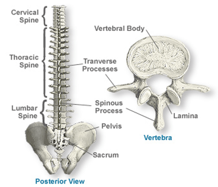 Railroad Spinal Injury