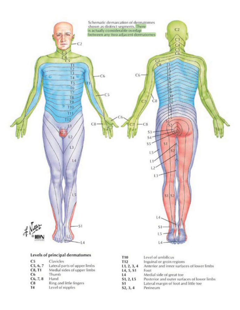Railroad Spinal Injuries